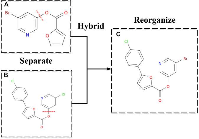 https://cdn.ncbi.nlm.nih.gov/pmc/blobs/7ddd/8900916/549291af0b19/fphar-13-813391-g004.jpg