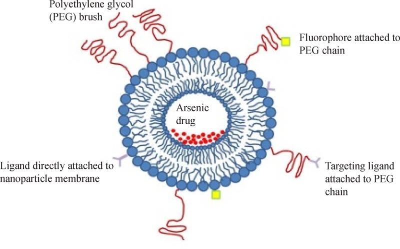 https://cdn.ncbi.nlm.nih.gov/pmc/blobs/7dde/5460606/f9eaf83cffa6/jbr-31-03-177-fig2.jpg