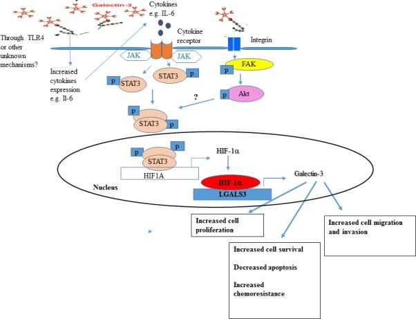 https://cdn.ncbi.nlm.nih.gov/pmc/blobs/7de1/6675724/b11b77b3c1cc/CAM4-8-4315-g009.jpg