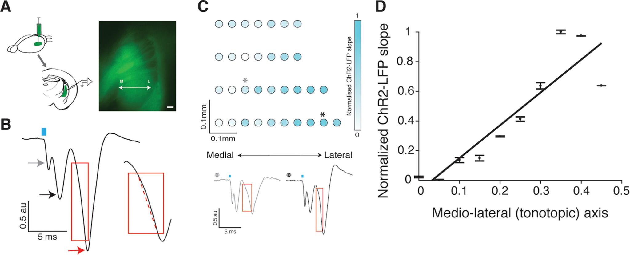 https://cdn.ncbi.nlm.nih.gov/pmc/blobs/7de1/7986528/a9fece28e6e2/SN-ENUJ210034F003.jpg
