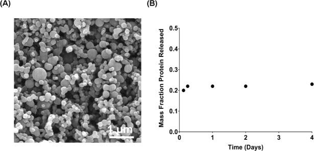 https://cdn.ncbi.nlm.nih.gov/pmc/blobs/7de2/6584211/16f7083d61c4/ganc-10-052-g001.jpg