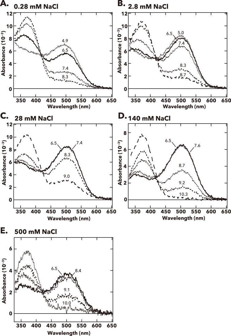 https://cdn.ncbi.nlm.nih.gov/pmc/blobs/7de4/12401545/8bd928a1d0f9/elife-105451-fig3-figsupp1.jpg