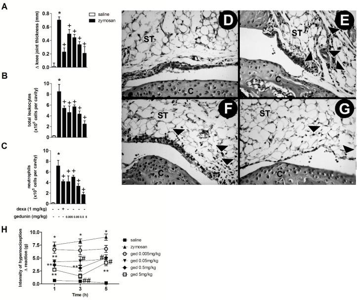 https://cdn.ncbi.nlm.nih.gov/pmc/blobs/7de4/6272452/a3eae621689a/molecules-20-02636-g001.jpg