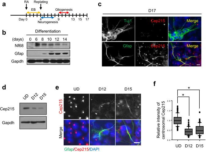 https://cdn.ncbi.nlm.nih.gov/pmc/blobs/7de4/7550586/696060e2bd6a/41598_2020_72728_Fig1_HTML.jpg