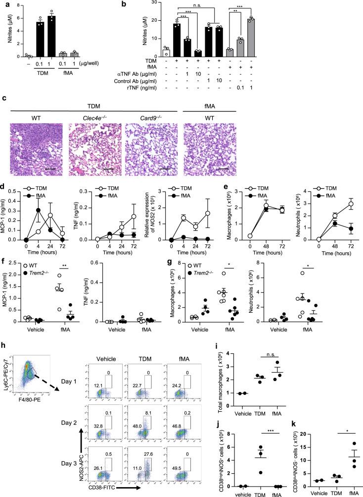 https://cdn.ncbi.nlm.nih.gov/pmc/blobs/7de4/8052348/1c059d0c199d/41467_2021_22620_Fig5_HTML.jpg