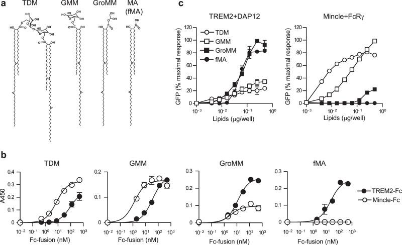 https://cdn.ncbi.nlm.nih.gov/pmc/blobs/7de4/8052348/41abc3455666/41467_2021_22620_Fig3_HTML.jpg
