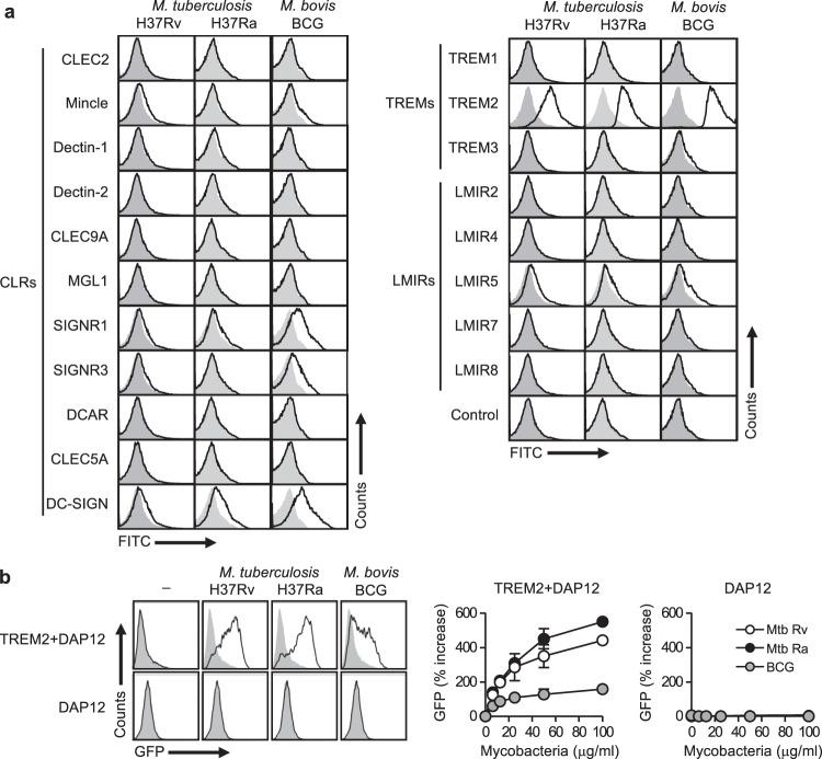 https://cdn.ncbi.nlm.nih.gov/pmc/blobs/7de4/8052348/8648a5d28729/41467_2021_22620_Fig1_HTML.jpg