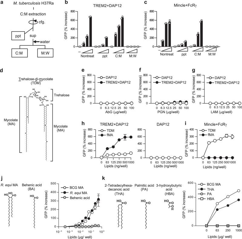 https://cdn.ncbi.nlm.nih.gov/pmc/blobs/7de4/8052348/883093c04a7f/41467_2021_22620_Fig2_HTML.jpg