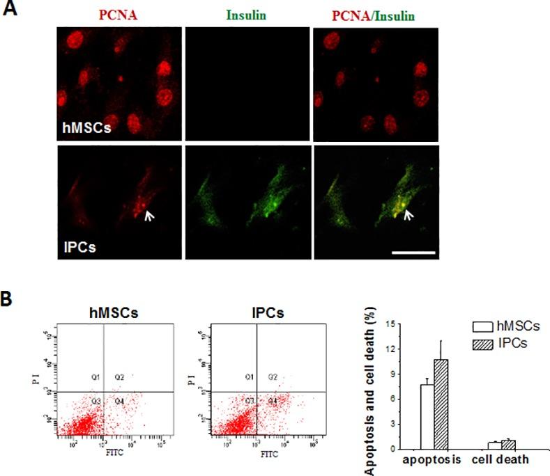 https://cdn.ncbi.nlm.nih.gov/pmc/blobs/7de8/4710504/b4cb6eddeda8/pone.0145838.g005.jpg