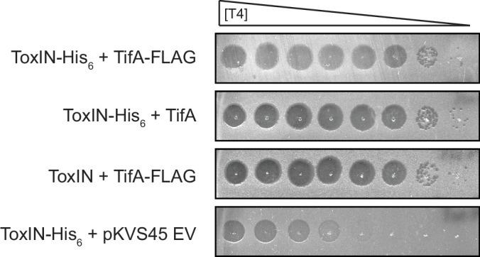 https://cdn.ncbi.nlm.nih.gov/pmc/blobs/7de9/9391042/0f6af68a76ec/elife-79549-fig2-figsupp1.jpg