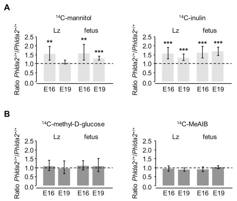 https://cdn.ncbi.nlm.nih.gov/pmc/blobs/7ded/8146920/2e40aa6c519a/genes-12-00639-g001.jpg