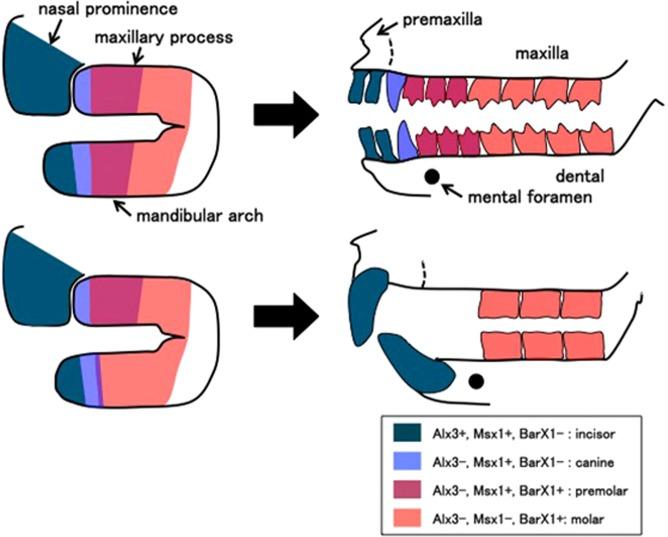 https://cdn.ncbi.nlm.nih.gov/pmc/blobs/7dee/6731288/daa5795c06de/41598_2019_49116_Fig5_HTML.jpg
