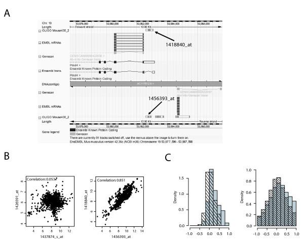 https://cdn.ncbi.nlm.nih.gov/pmc/blobs/7def/1929078/29562bd45331/1471-2164-8-200-4.jpg