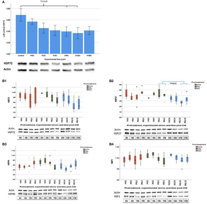 https://cdn.ncbi.nlm.nih.gov/pmc/blobs/7df0/7593578/8948165aafa0/fneur-11-00999-g0002.jpg