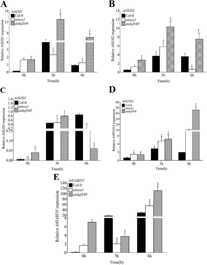 https://cdn.ncbi.nlm.nih.gov/pmc/blobs/7df2/12051351/0ef9a237797c/12870_2025_6618_Fig7_HTML.jpg
