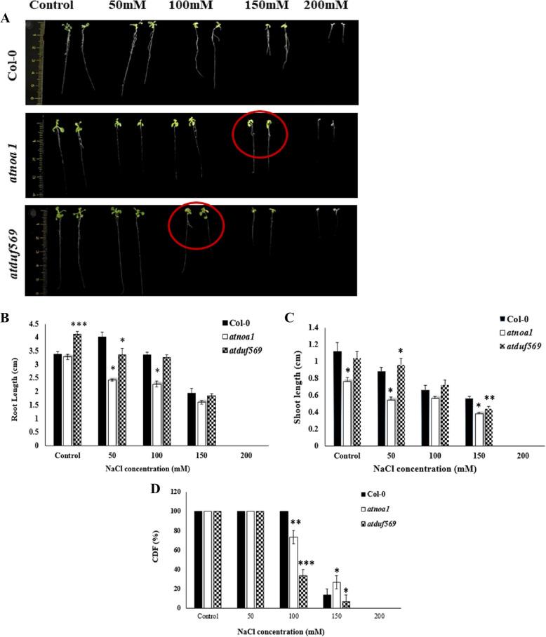 https://cdn.ncbi.nlm.nih.gov/pmc/blobs/7df2/12051351/153cf7dae478/12870_2025_6618_Fig2_HTML.jpg