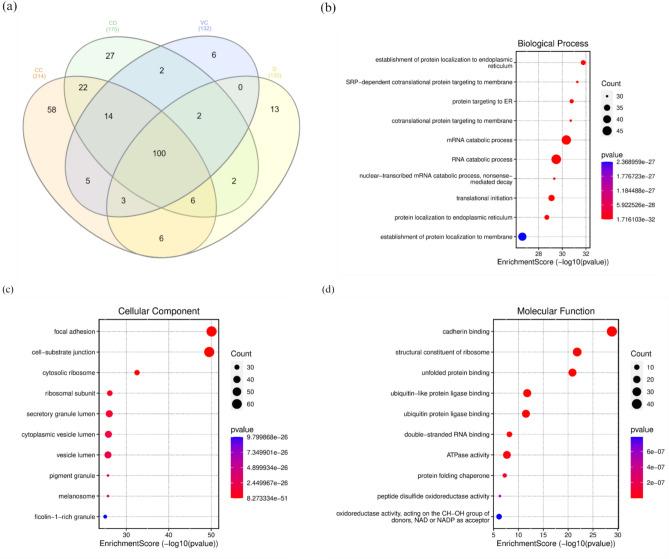 https://cdn.ncbi.nlm.nih.gov/pmc/blobs/7df2/12085588/988b25f29355/41598_2025_744_Fig7_HTML.jpg