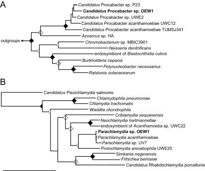 https://cdn.ncbi.nlm.nih.gov/pmc/blobs/7df3/1974821/75dbd4fb7667/emi0009-1604-f1.jpg
