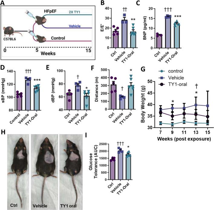 https://cdn.ncbi.nlm.nih.gov/pmc/blobs/7df4/11976778/cad375f262fb/395_2024_1095_Fig2_HTML.jpg