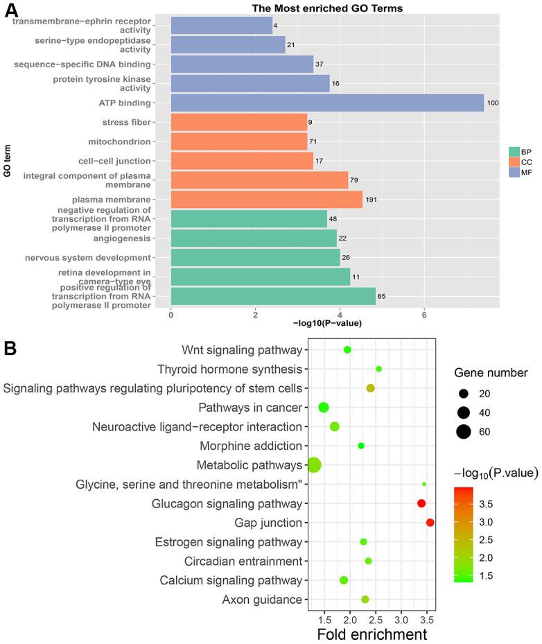 https://cdn.ncbi.nlm.nih.gov/pmc/blobs/7df6/8544332/f1f7535fd2d3/aging-13-203618-g004.jpg