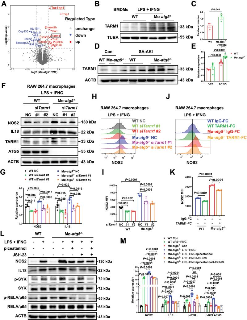 https://cdn.ncbi.nlm.nih.gov/pmc/blobs/7df8/11702950/a08995c809ce/KAUP_A_2393926_F0005_OC.jpg
