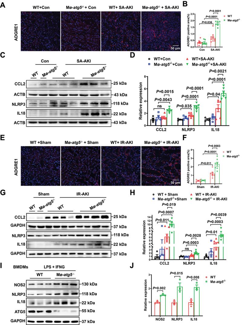 https://cdn.ncbi.nlm.nih.gov/pmc/blobs/7df8/11702950/cc6218353dd3/KAUP_A_2393926_F0003_OC.jpg