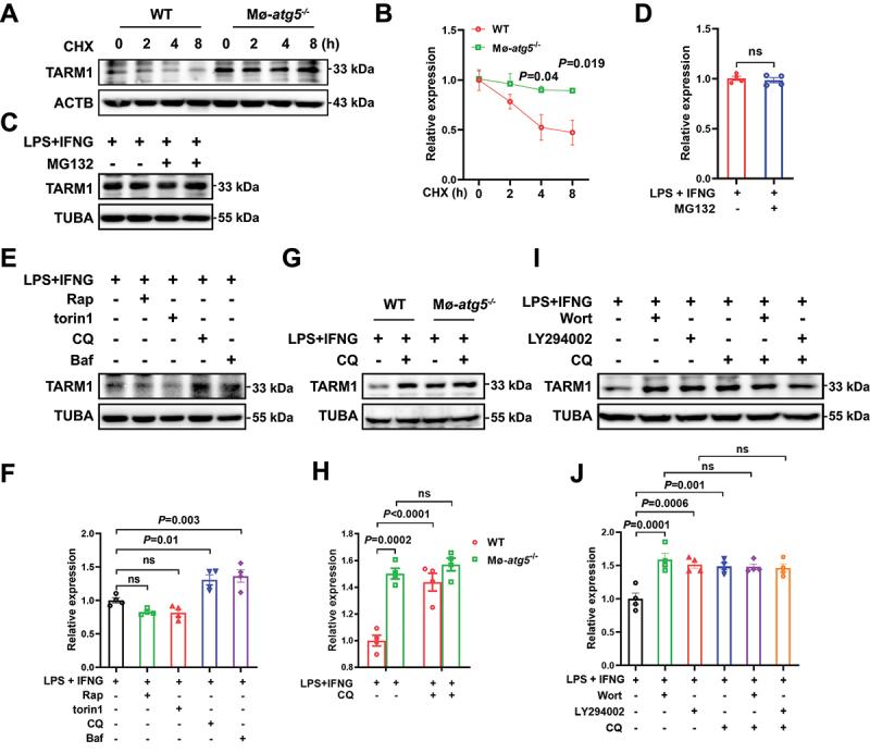 https://cdn.ncbi.nlm.nih.gov/pmc/blobs/7df8/11702950/ee32e233b4a7/KAUP_A_2393926_F0006_OC.jpg