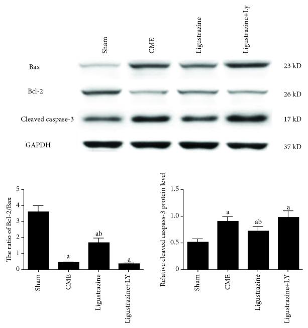 https://cdn.ncbi.nlm.nih.gov/pmc/blobs/7df9/6525935/3aed6d7ed05f/OMCL2019-6791457.007.jpg