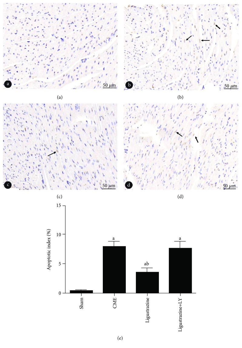 https://cdn.ncbi.nlm.nih.gov/pmc/blobs/7df9/6525935/3ccd5371ae1c/OMCL2019-6791457.006.jpg