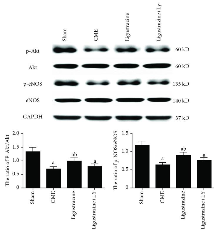 https://cdn.ncbi.nlm.nih.gov/pmc/blobs/7df9/6525935/f1cb671f07aa/OMCL2019-6791457.008.jpg
