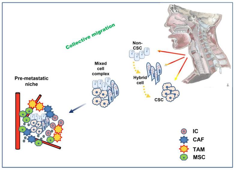 https://cdn.ncbi.nlm.nih.gov/pmc/blobs/7df9/9496235/f52af9efea3d/biomedicines-10-02148-g003.jpg