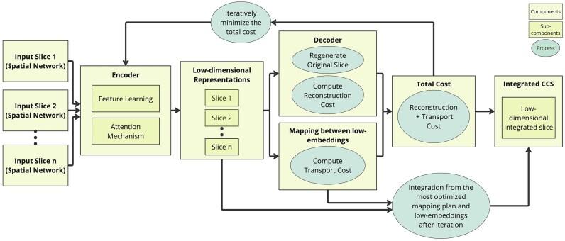 https://cdn.ncbi.nlm.nih.gov/pmc/blobs/7dfa/12199153/1bb452bd7a7c/gkaf536fig5.jpg