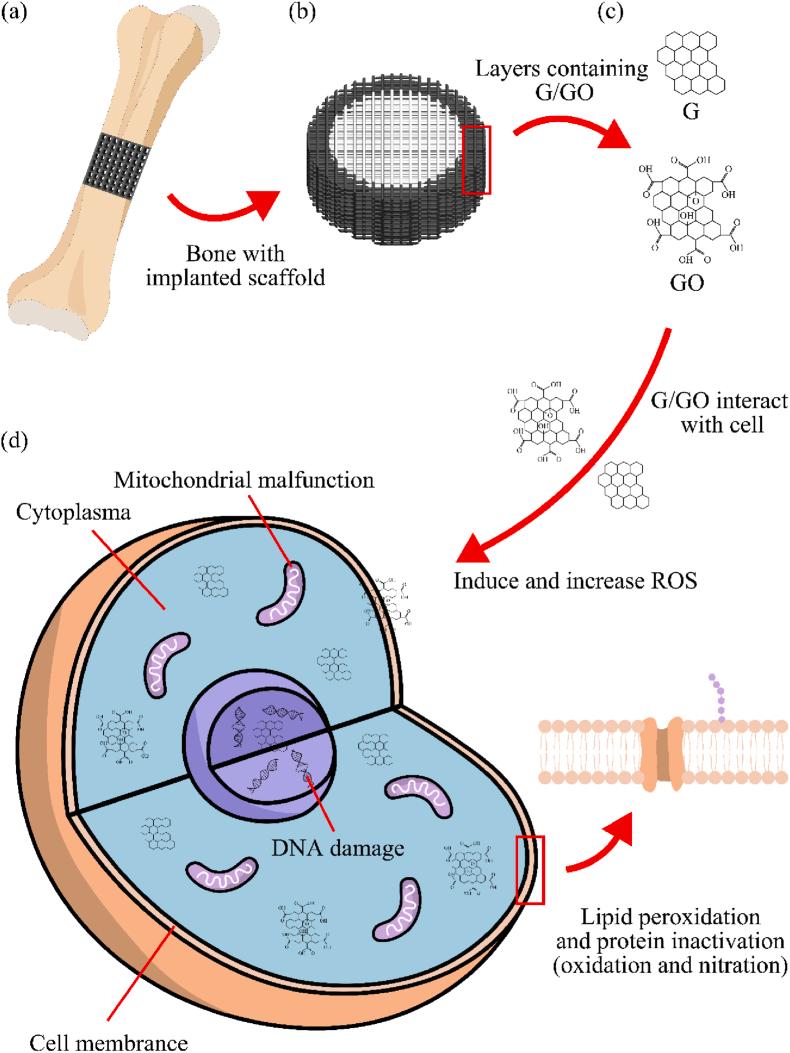 https://cdn.ncbi.nlm.nih.gov/pmc/blobs/7dfb/10761775/7a3a4c54e3df/sc1.jpg