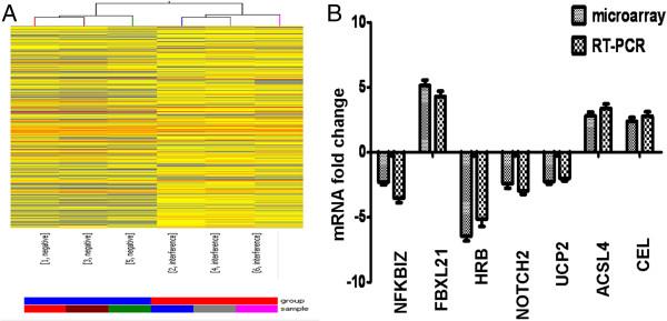 https://cdn.ncbi.nlm.nih.gov/pmc/blobs/7dfe/3878747/2c388a7ae1ce/1476-511X-12-186-5.jpg
