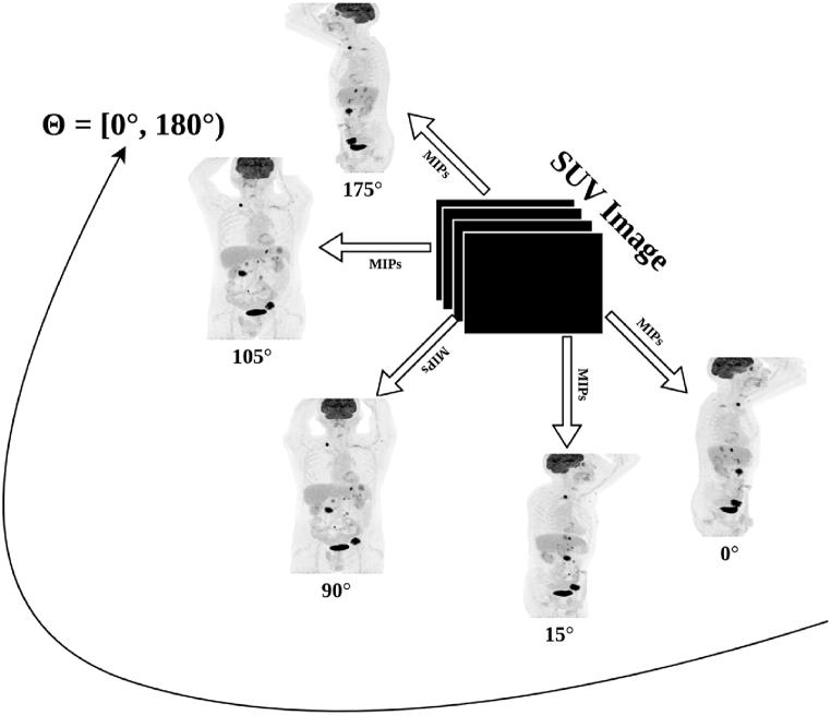 https://cdn.ncbi.nlm.nih.gov/pmc/blobs/7e01/10882139/487b655094a9/gr2.jpg