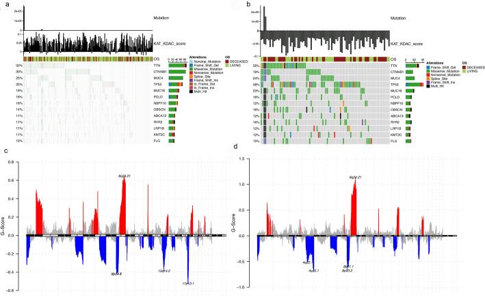 https://cdn.ncbi.nlm.nih.gov/pmc/blobs/7e01/12332175/3c571a8bb62e/12672_2025_3339_Fig10_HTML.jpg