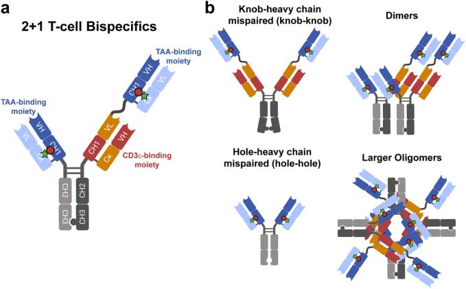 https://cdn.ncbi.nlm.nih.gov/pmc/blobs/7e03/9850176/9342e70c6db8/gr1.jpg