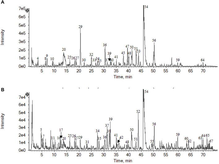 https://cdn.ncbi.nlm.nih.gov/pmc/blobs/7e04/10875140/fbde775dfd06/fphar-15-1328632-g001.jpg