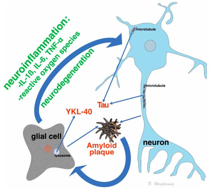 https://cdn.ncbi.nlm.nih.gov/pmc/blobs/7e0b/7692800/3fc65862de27/jcm-09-03452-g001.jpg