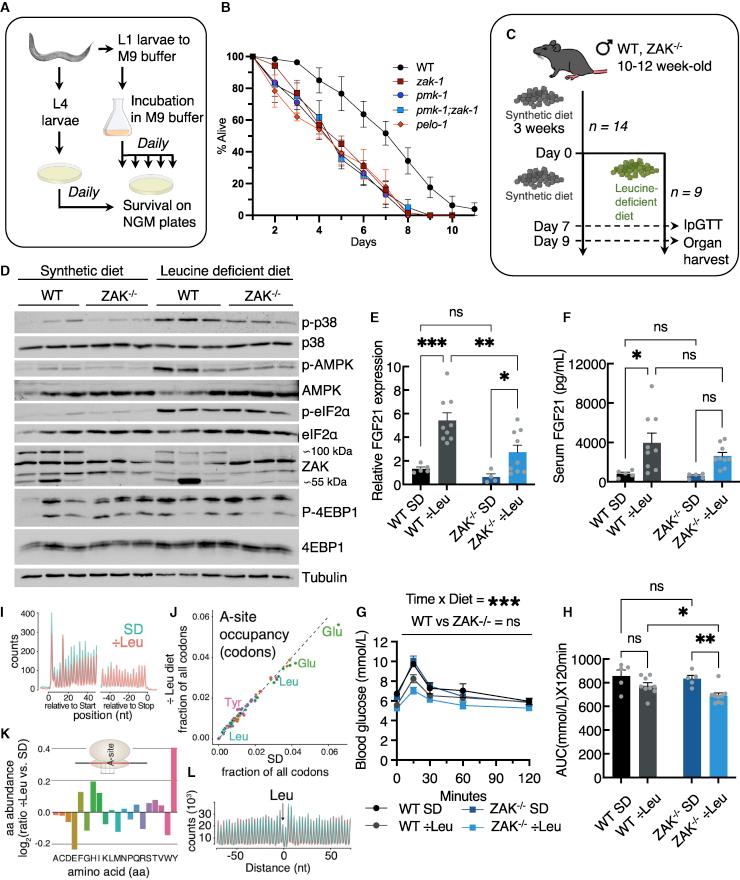https://cdn.ncbi.nlm.nih.gov/pmc/blobs/7e0b/9763090/5a5671dcc0fb/gr3.jpg