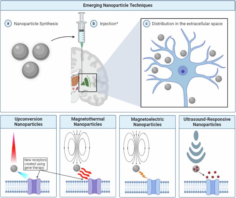 https://cdn.ncbi.nlm.nih.gov/pmc/blobs/7e0d/11500395/392c5e5bb982/41531_2024_804_Fig4_HTML.jpg