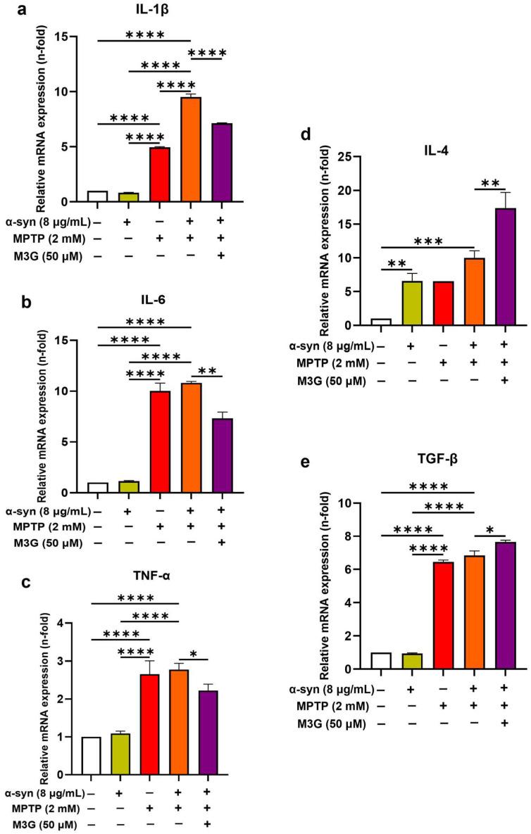 https://cdn.ncbi.nlm.nih.gov/pmc/blobs/7e12/11641650/4b2fb8300945/ijms-25-12733-g005.jpg