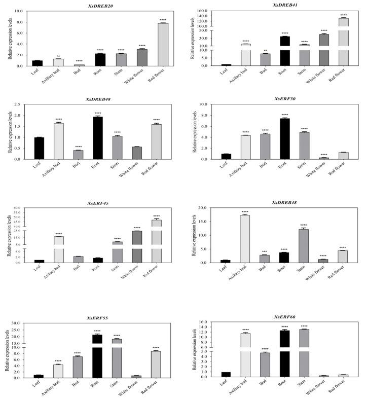 https://cdn.ncbi.nlm.nih.gov/pmc/blobs/7e12/9741253/2d7f4132d3c6/ijms-23-14991-g006.jpg