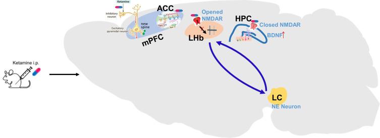 https://cdn.ncbi.nlm.nih.gov/pmc/blobs/7e13/12350550/74e8a34e4ade/NDT-21-1623-g0002.jpg