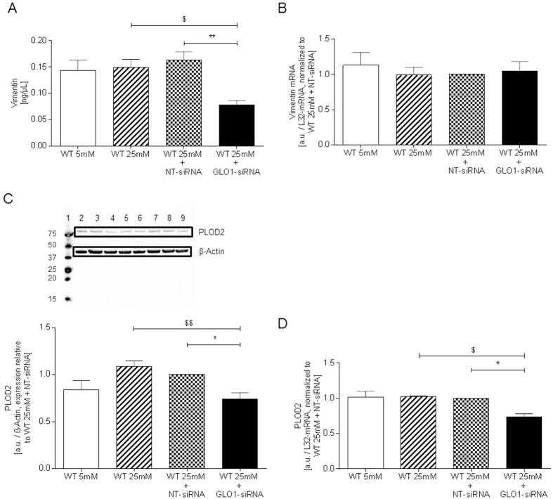 https://cdn.ncbi.nlm.nih.gov/pmc/blobs/7e13/5127188/b6de695f58ac/srep37737-f3.jpg