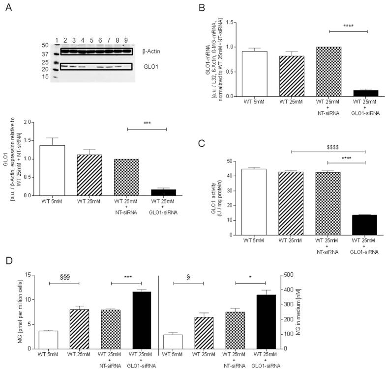 https://cdn.ncbi.nlm.nih.gov/pmc/blobs/7e13/5127188/ce0c7033477b/srep37737-f2.jpg