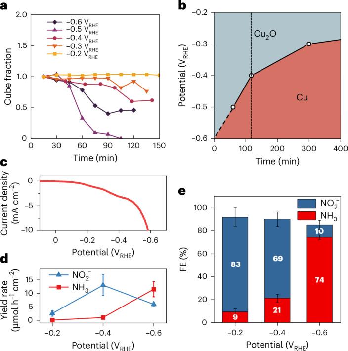 https://cdn.ncbi.nlm.nih.gov/pmc/blobs/7e14/12048347/77309068f473/41563_2024_2084_Fig4_HTML.jpg