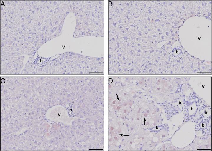 https://cdn.ncbi.nlm.nih.gov/pmc/blobs/7e15/5602546/635623599c68/pone.0184842.g003.jpg