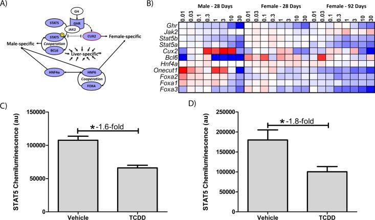https://cdn.ncbi.nlm.nih.gov/pmc/blobs/7e15/5602546/7f6916138e6d/pone.0184842.g006.jpg