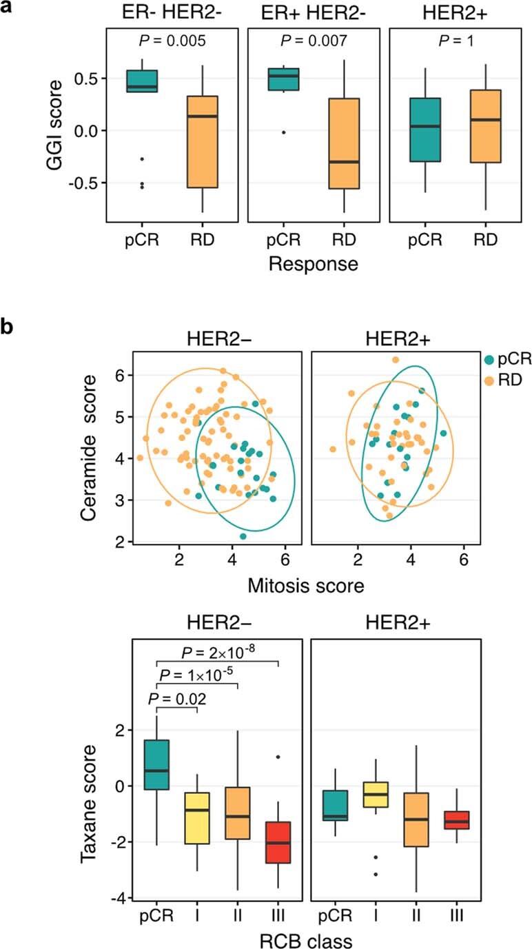 https://cdn.ncbi.nlm.nih.gov/pmc/blobs/7e15/8791834/fde96a0a7149/41586_2021_4278_Fig10_ESM.jpg